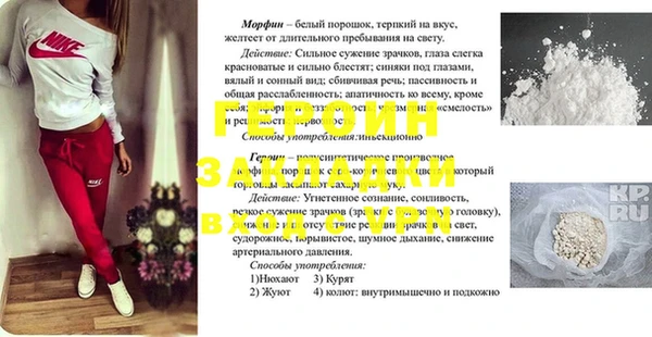 МДПВ Протвино