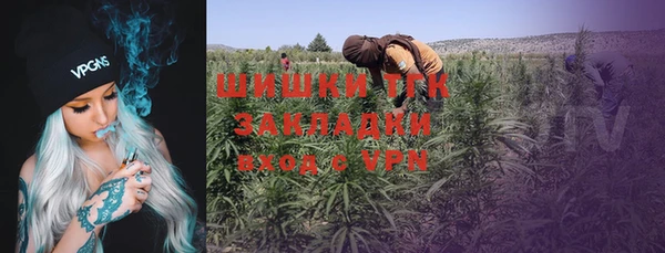 шишки Гатчина